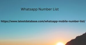 Whatsapp Number List